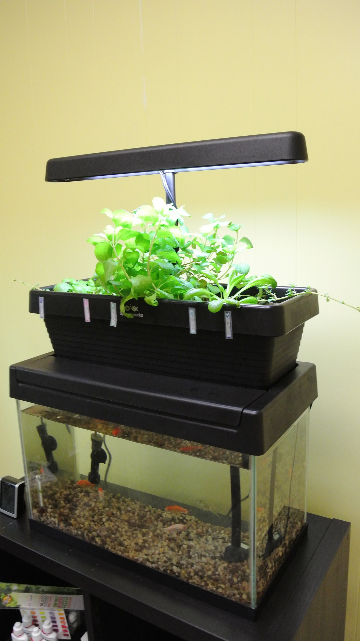 New Way Aquaponic Farms