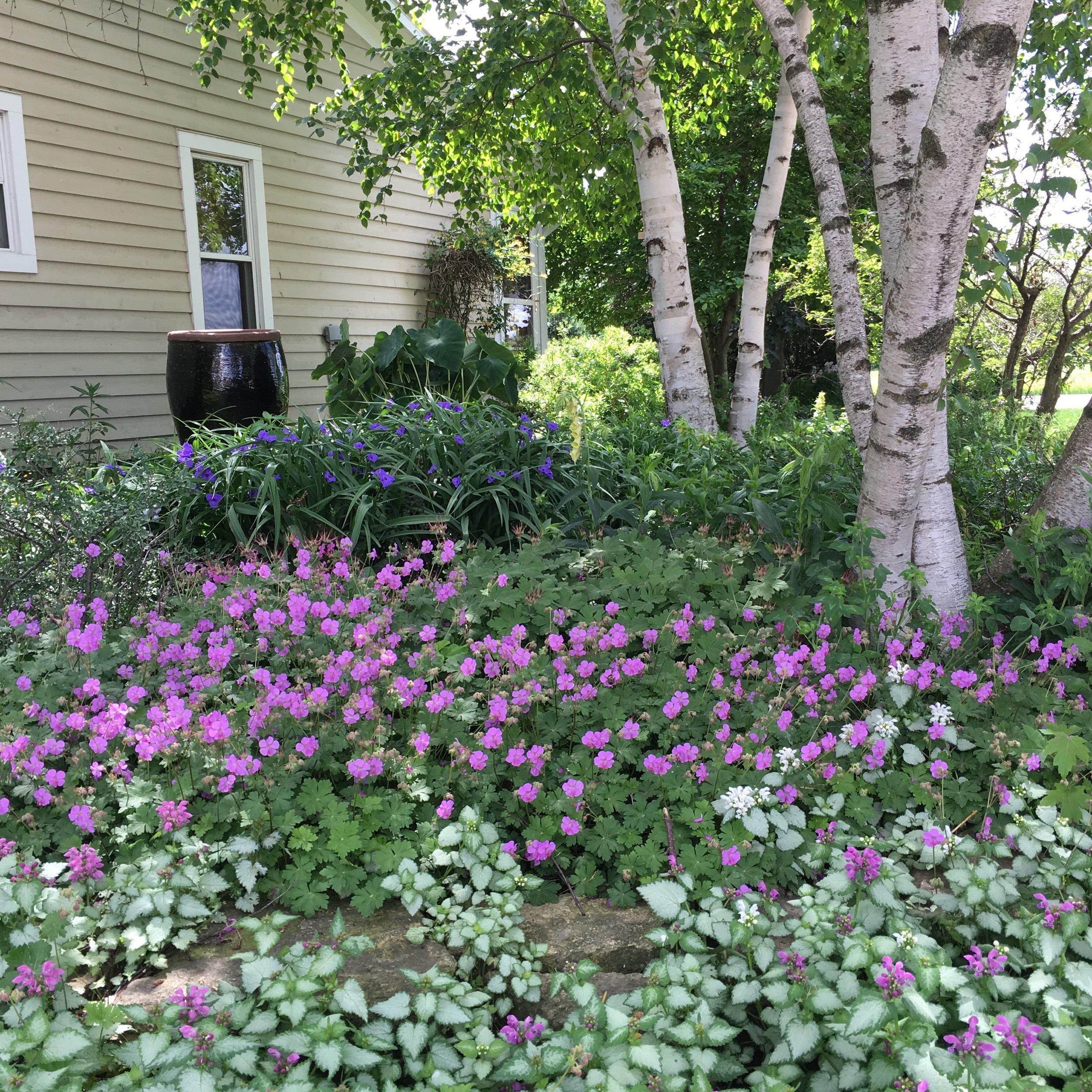 Greenhouse — Sunset Gardens Greenhouse & Floral