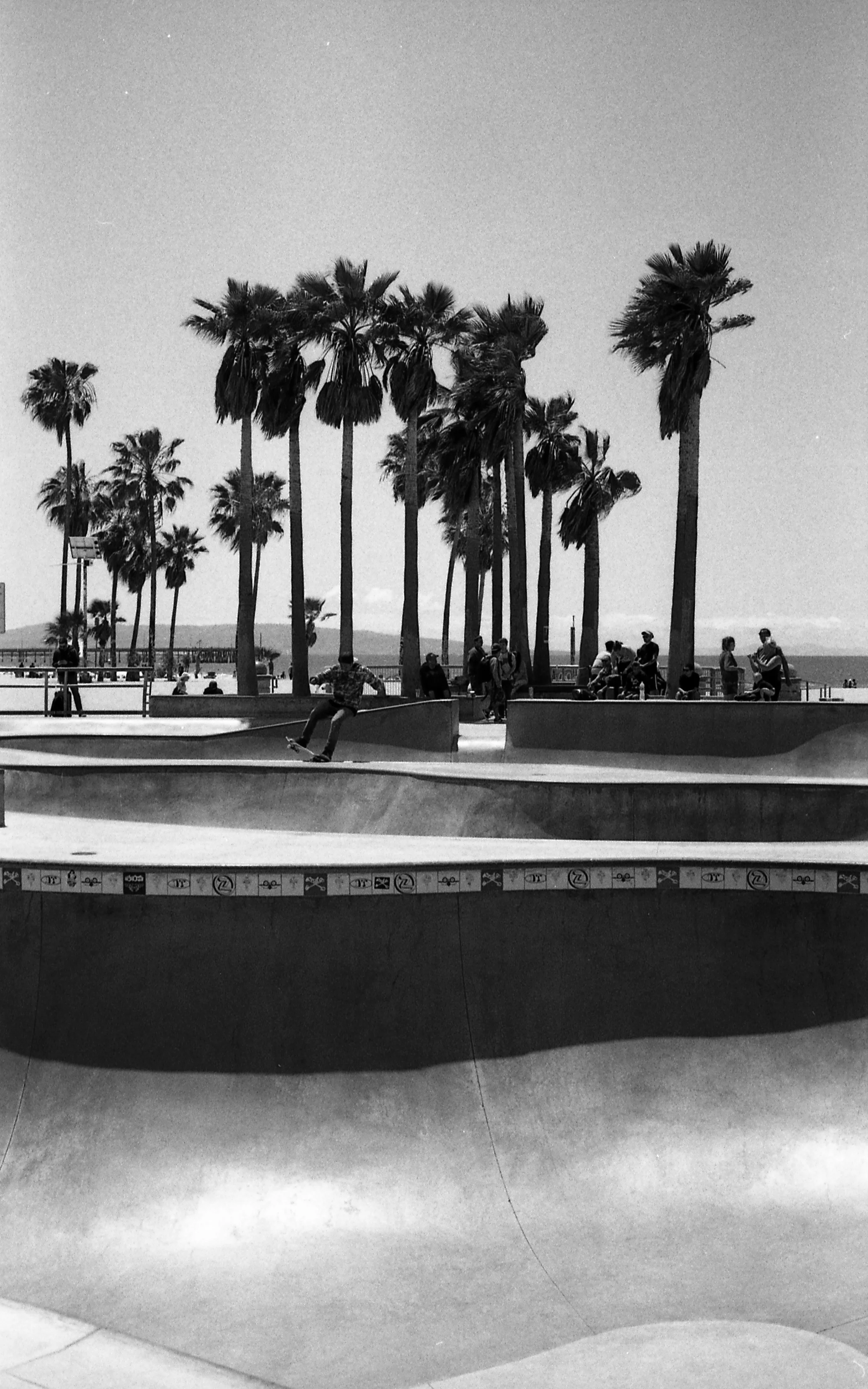 Lorenzo Mitil - Venice Beach Skatepark