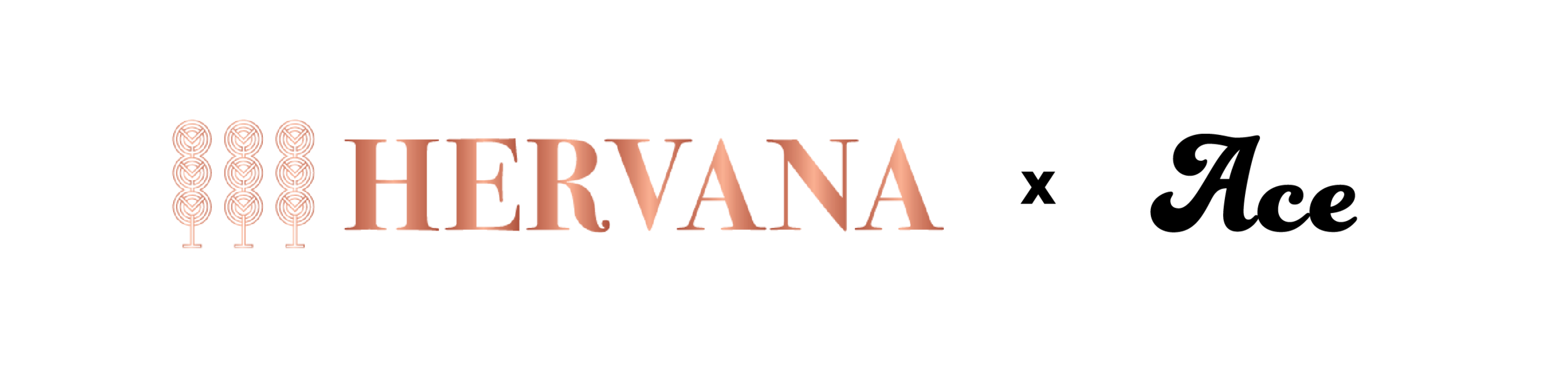 HervanaxAce-01.png