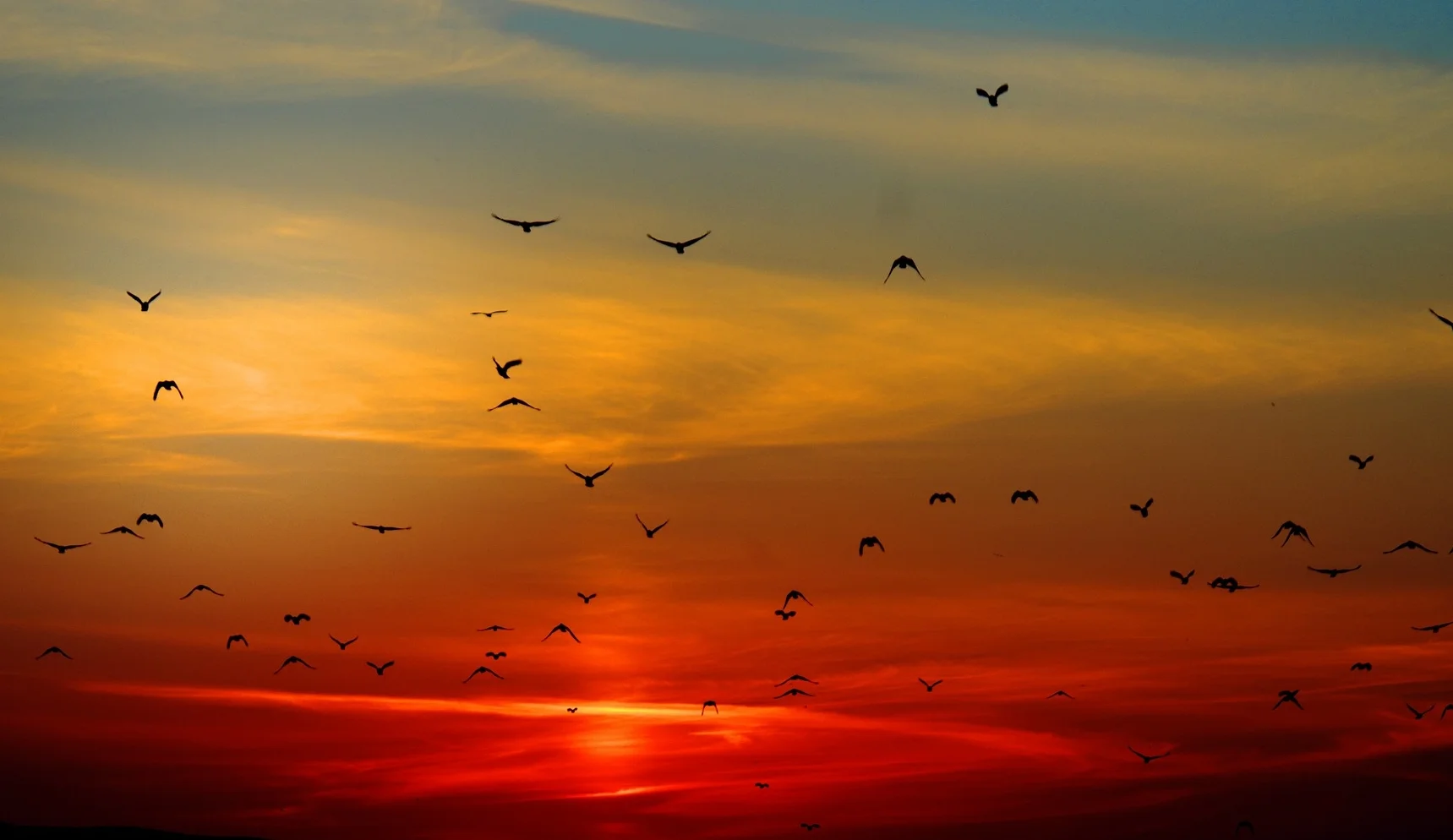 sunset-100367_1920.jpg