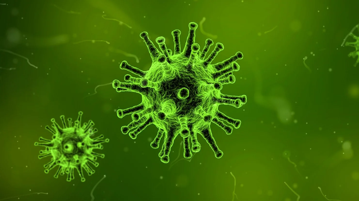 virus-1812092_1920.jpg