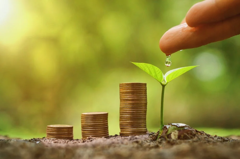 Home page image.jpeg