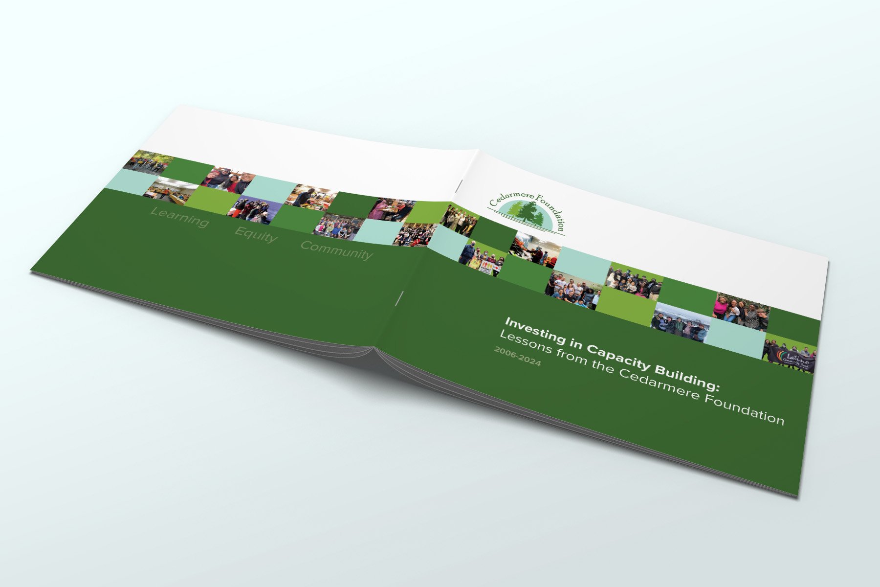 Cedarmere_Cover and Back Cover.jpg