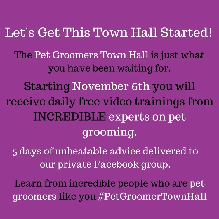 Let's Get This Town Hall Started!.jpg