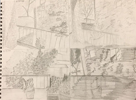 view_from_my_window_2.jpg