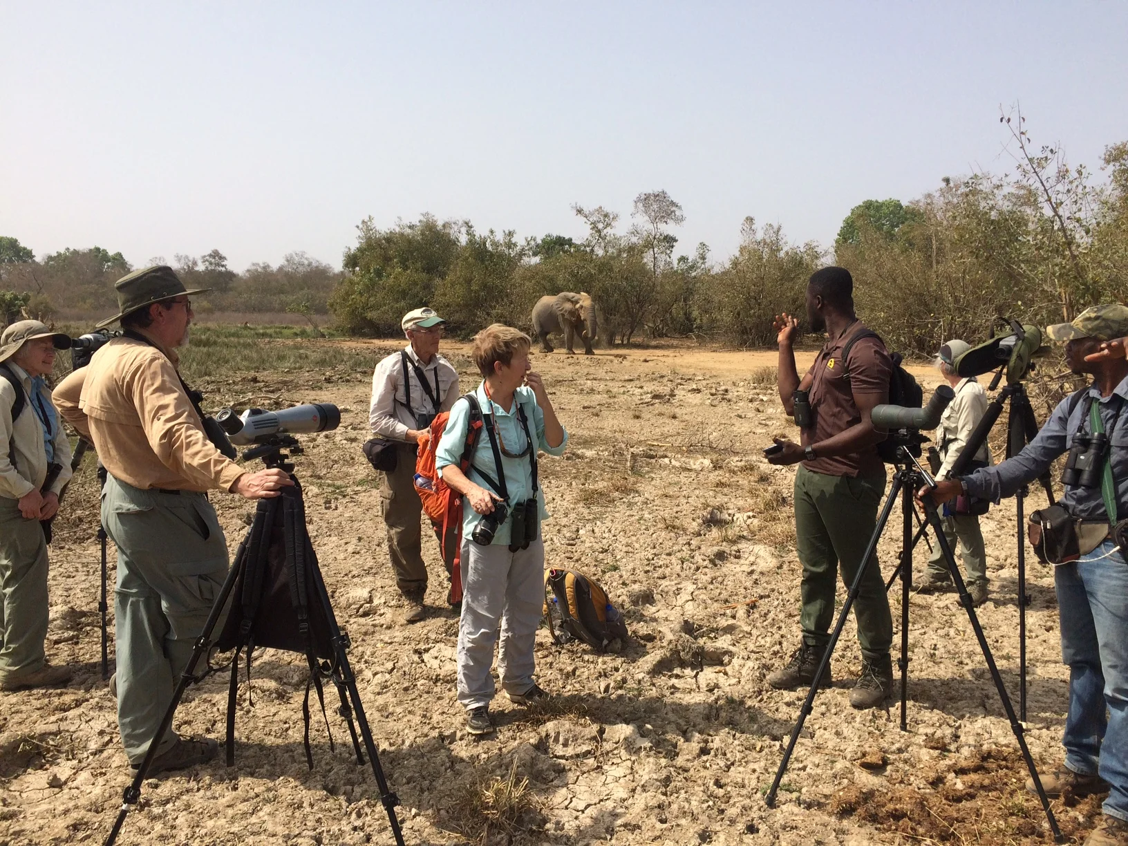 Birding with elephant, Mole National Park, January 2018 (Jeff Marks photo)