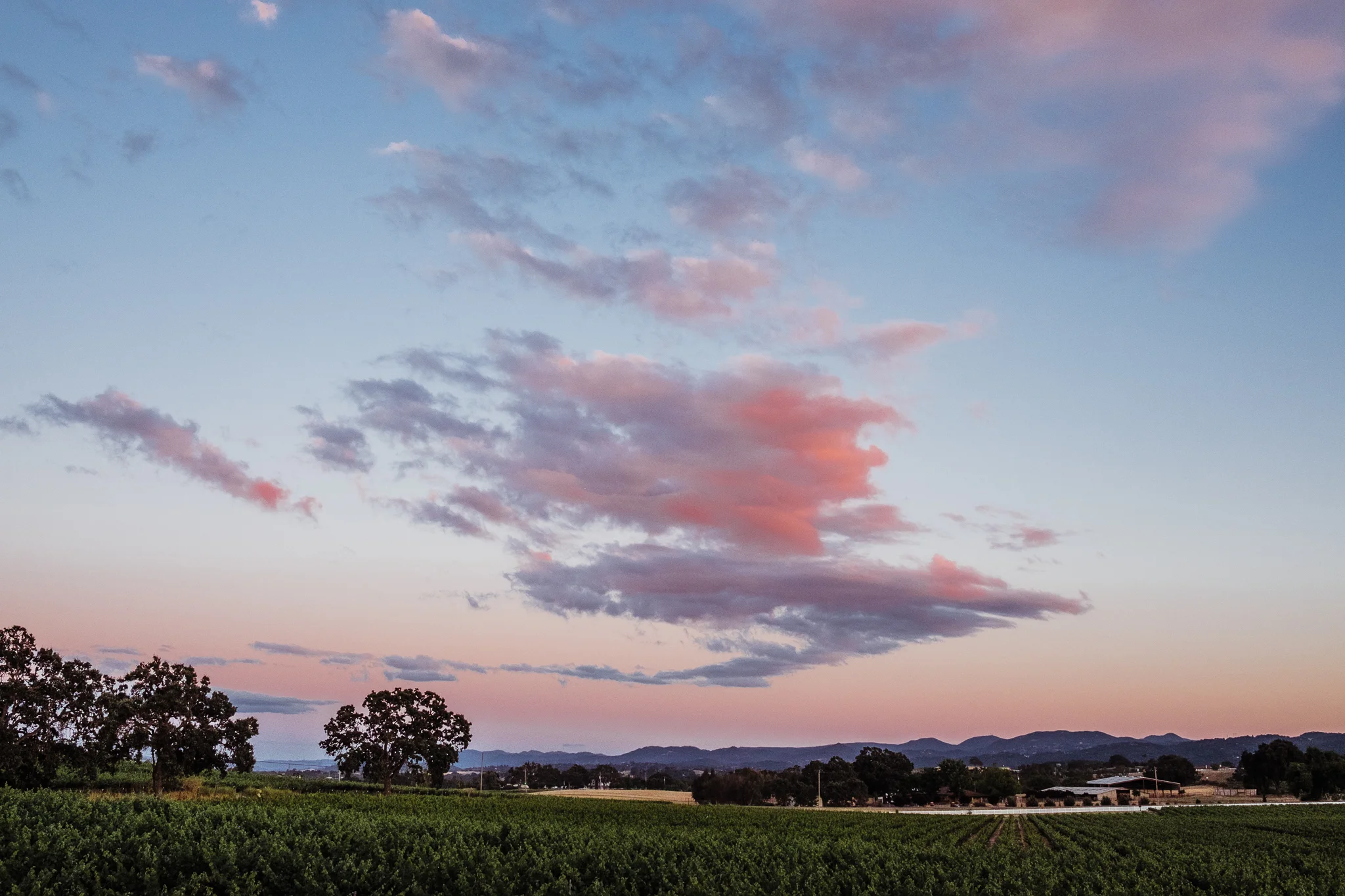 four lanterns 010.jpg