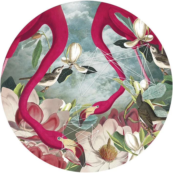 Flamingo Flowers