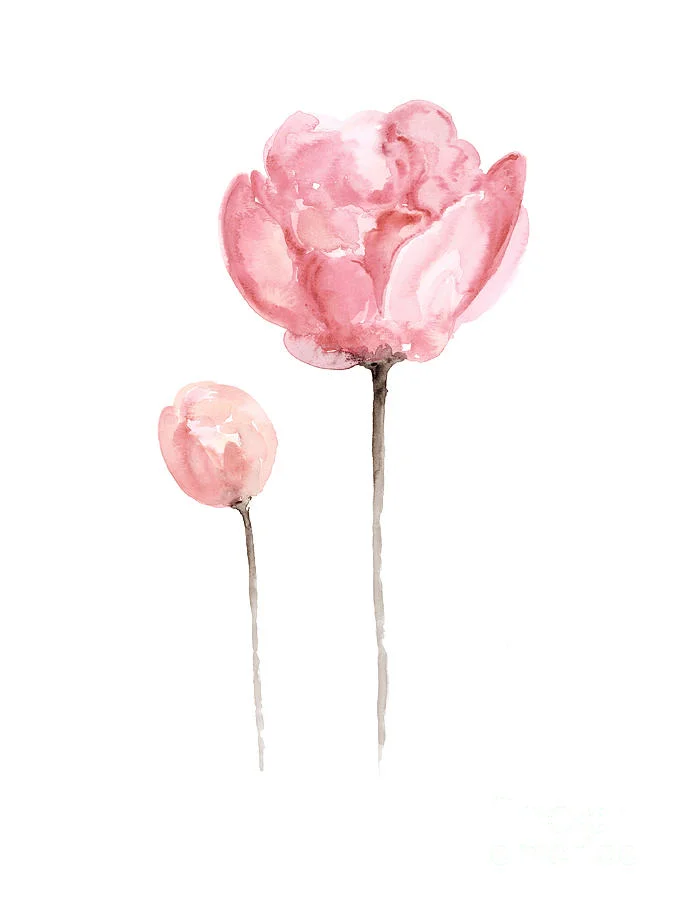 PEONY.jpg