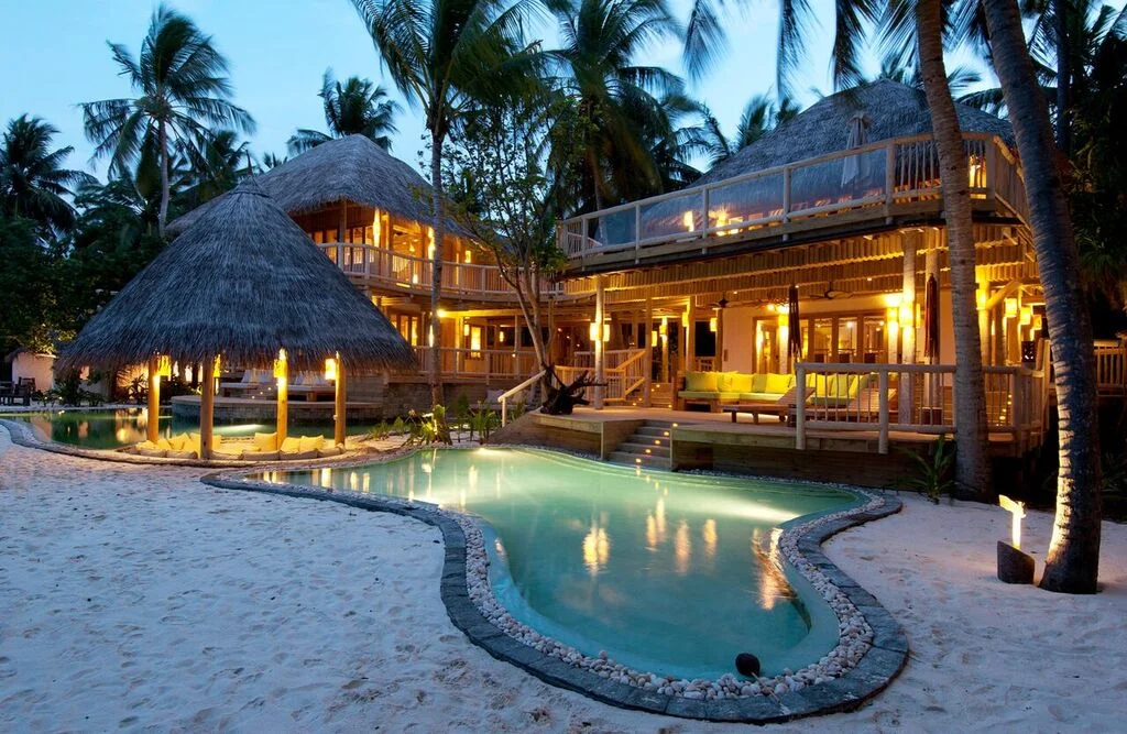 Jungle Reserve at Dusk.jpg