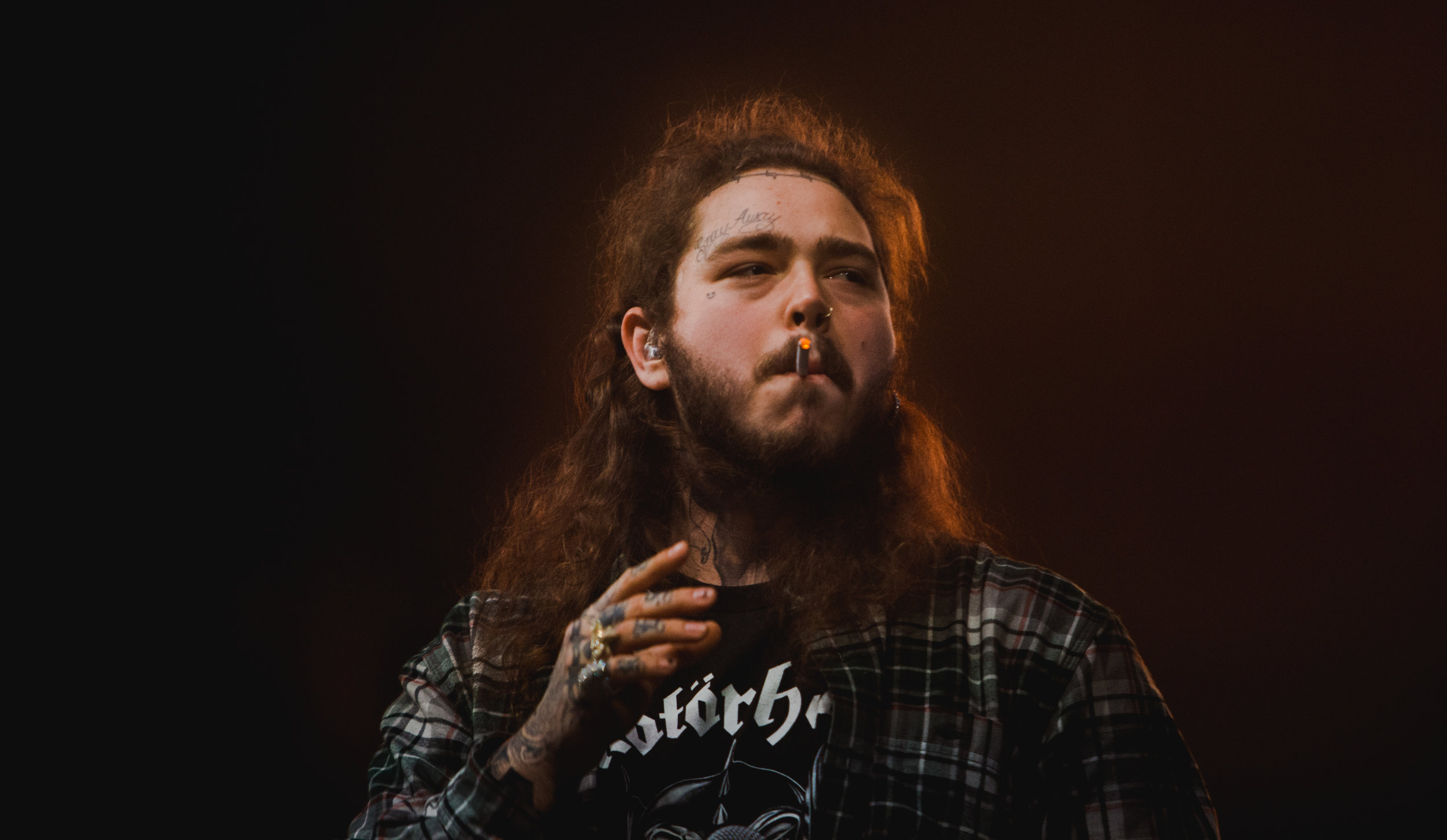 Post Malone (24 X 36)