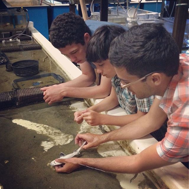Max and Gavin discussing conservation with shark scientist Andy Nosal at the Scripps Institution of Oceanography.