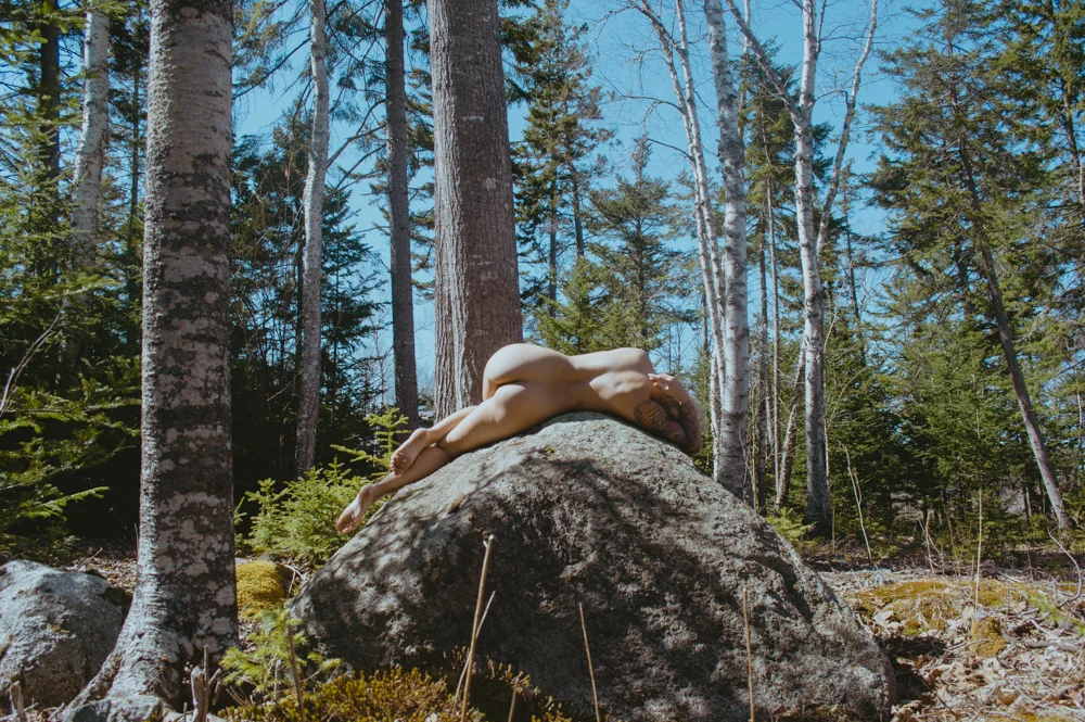 MaineSamples-4.jpg