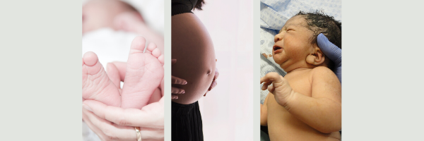 No. 66 | COVID-19  Information For Pregnancy + Breastfeeding