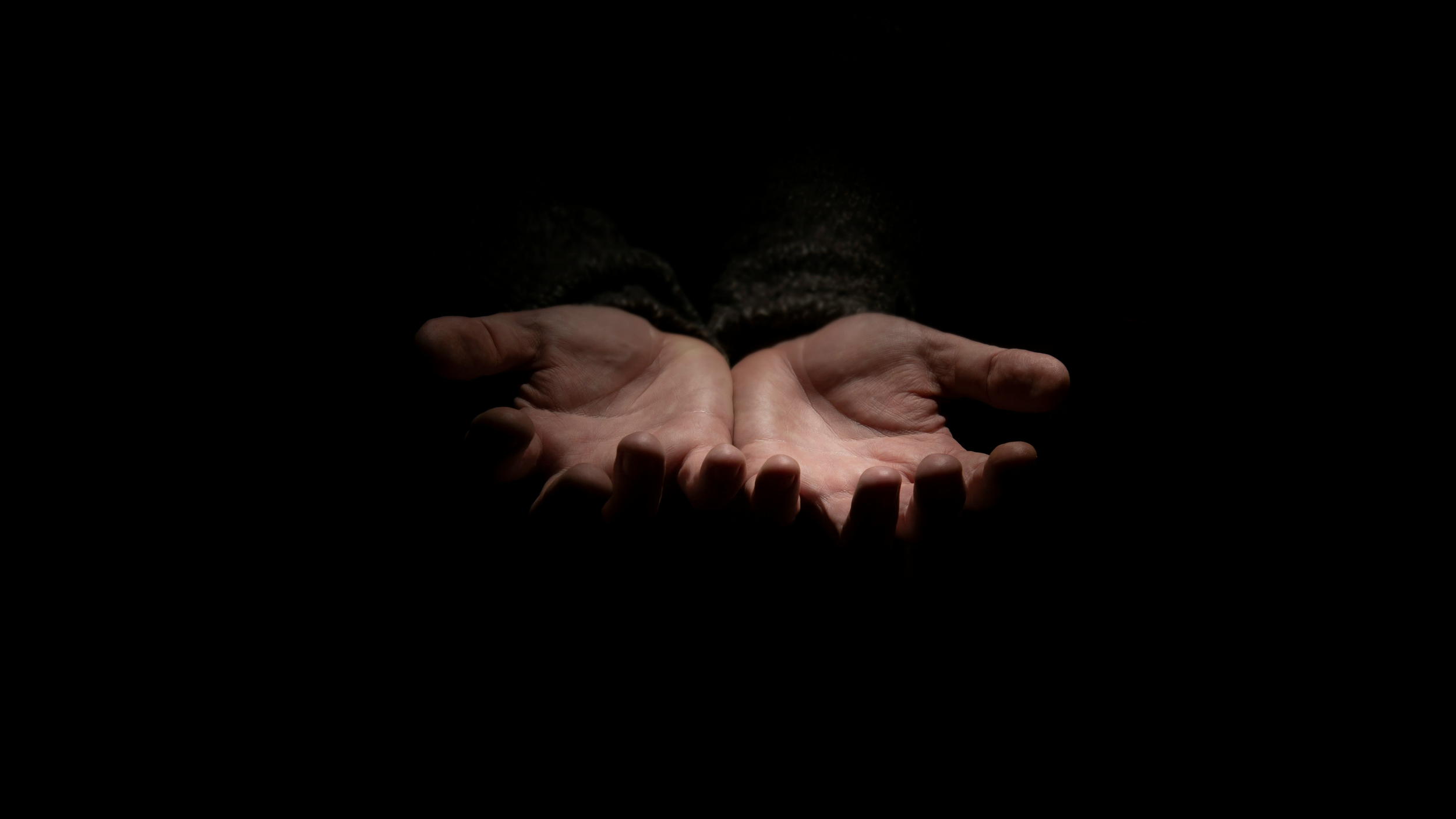 jorg-meier-9loYNAWmtm0-unsplash.png