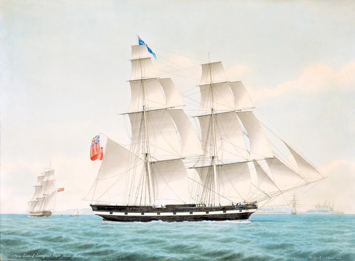 18747.jpg