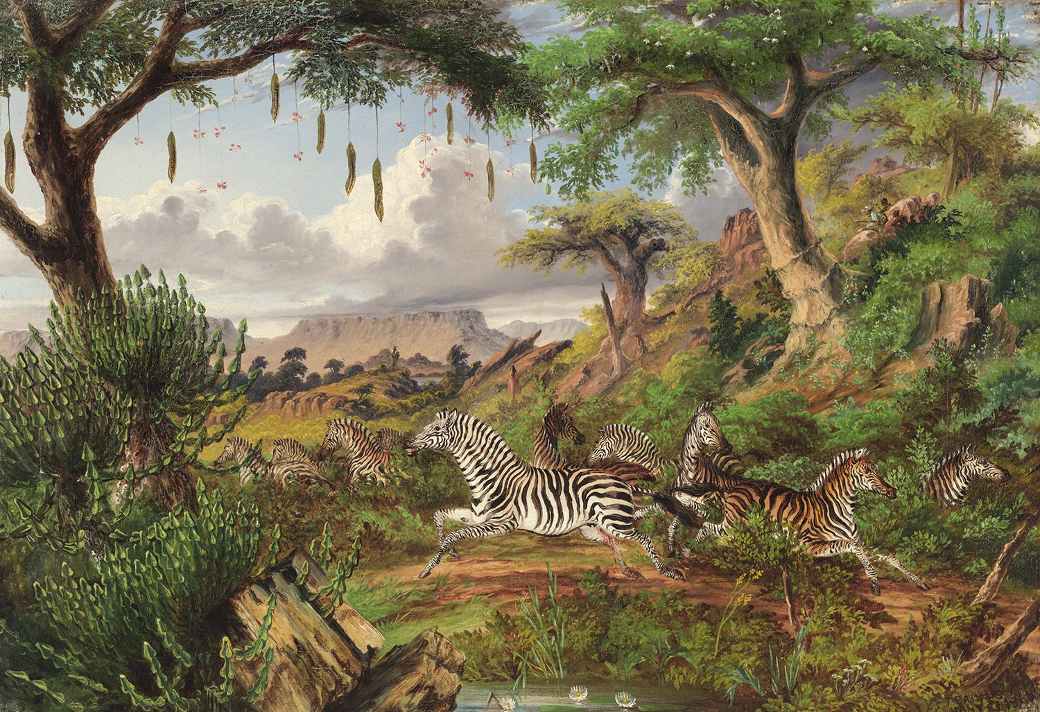 Thomas Baines (British/South African 1822-1875) 'Scene on the Logier River, Zambesi: The Full Striped Quagga (Equus Chapmanni)'