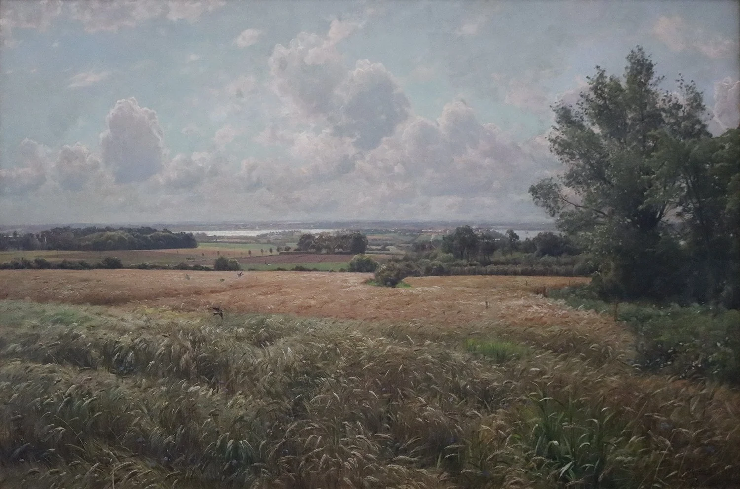 Peder M. Monsted (Danish 1859-1941) 'The Grain Ripens, Cathrinebjerg 1915'