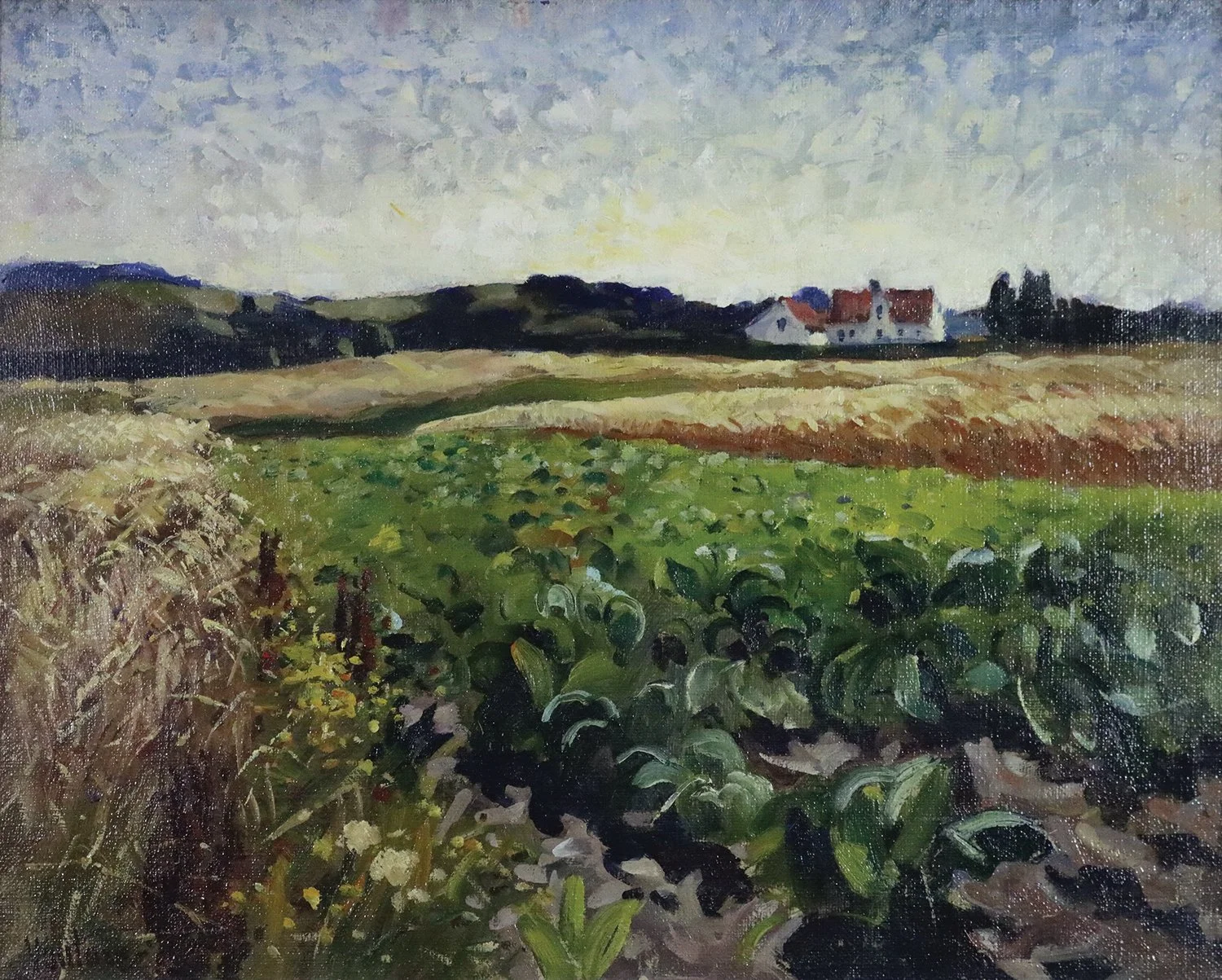 Mogens Vantore (Danish 1895-1977) 'Field of Cabbages'