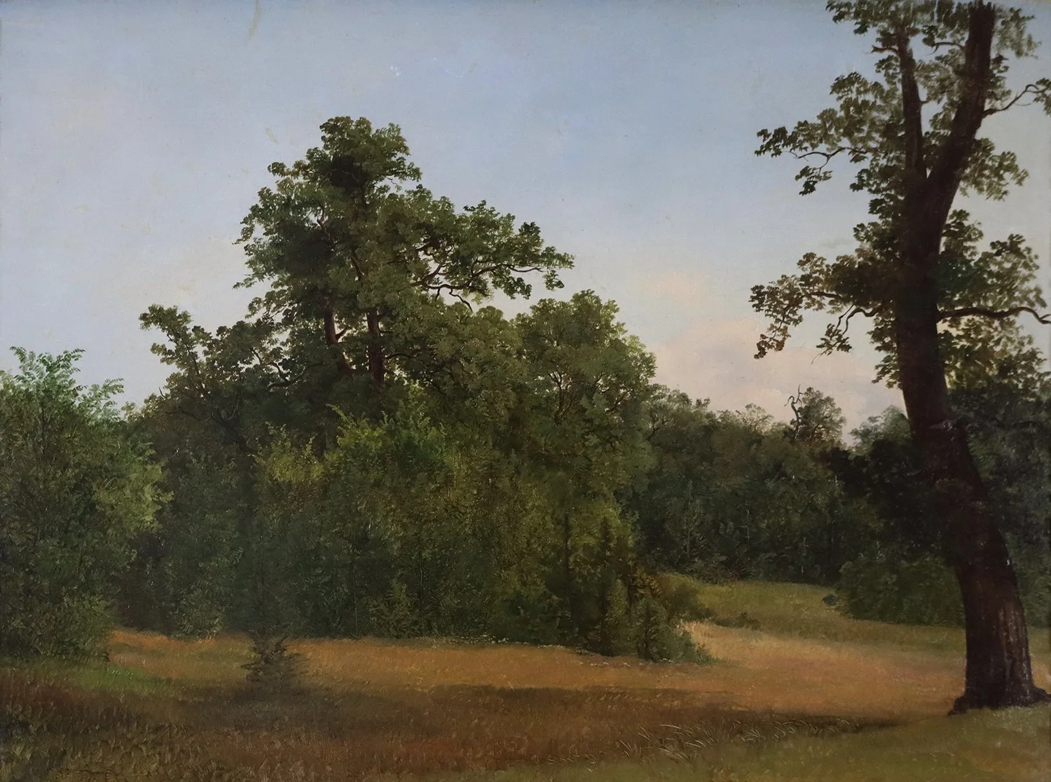 Josef Feid (Austrian 1806-1870) 'Wooded Landscape'