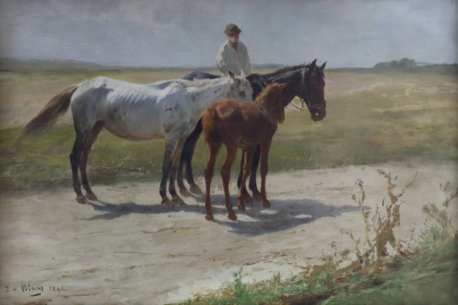 Julius Von Blaas (Italian 1845-1923) 'Three Horses with Rider'