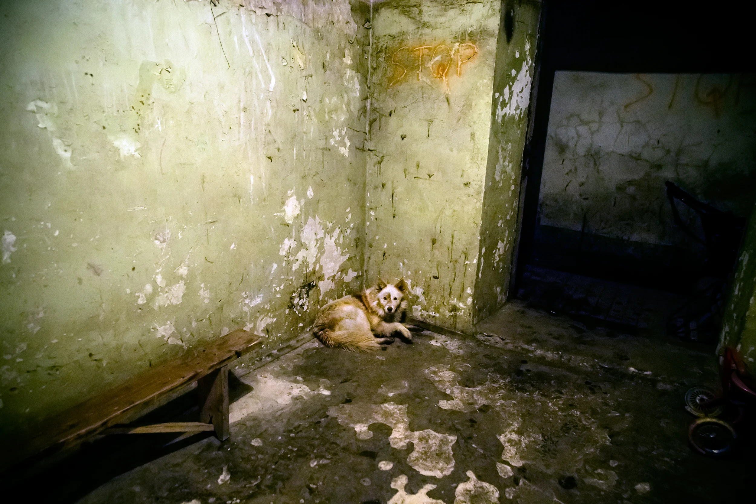 Donetsk33.jpg