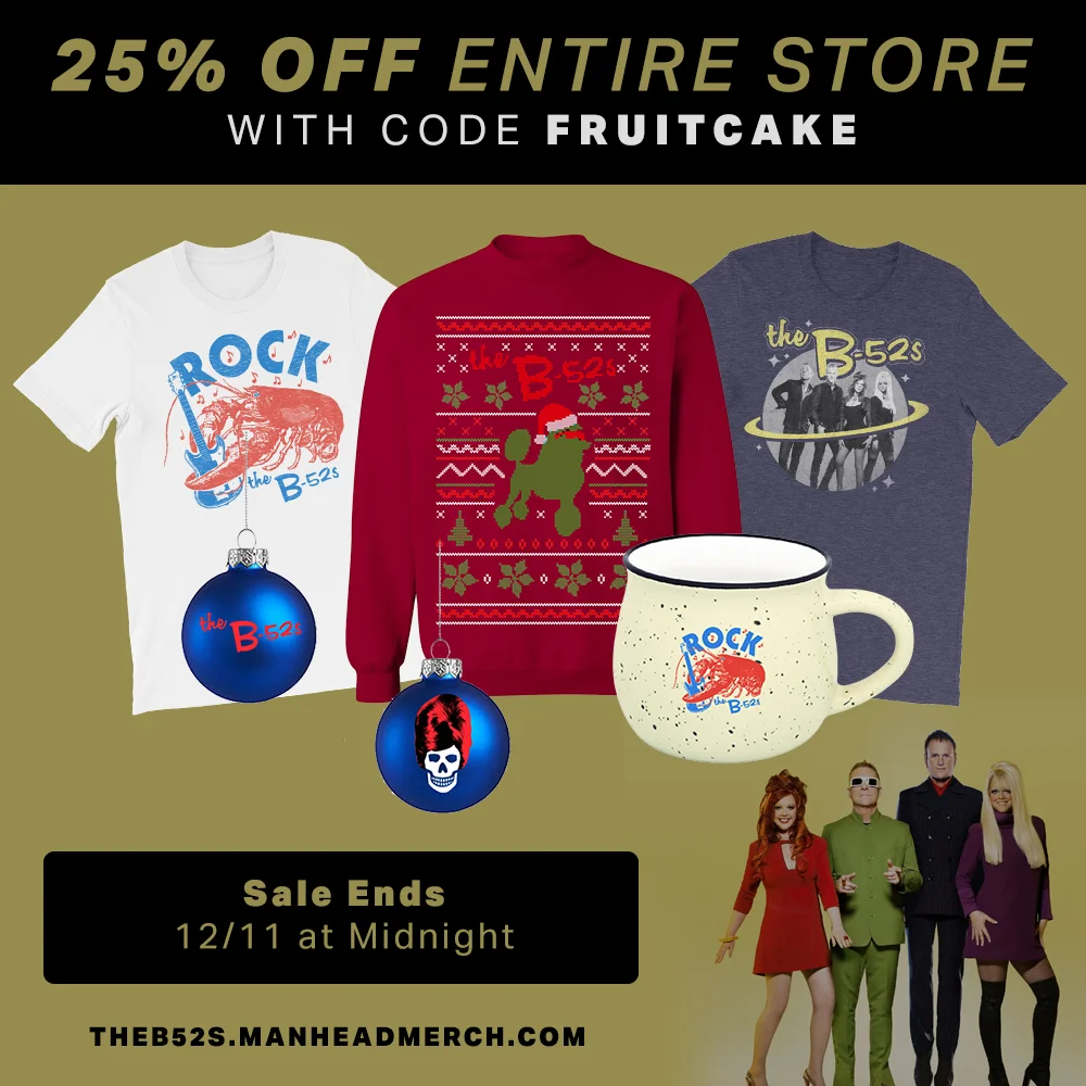 theb52s_fruitcake_promo.jpg