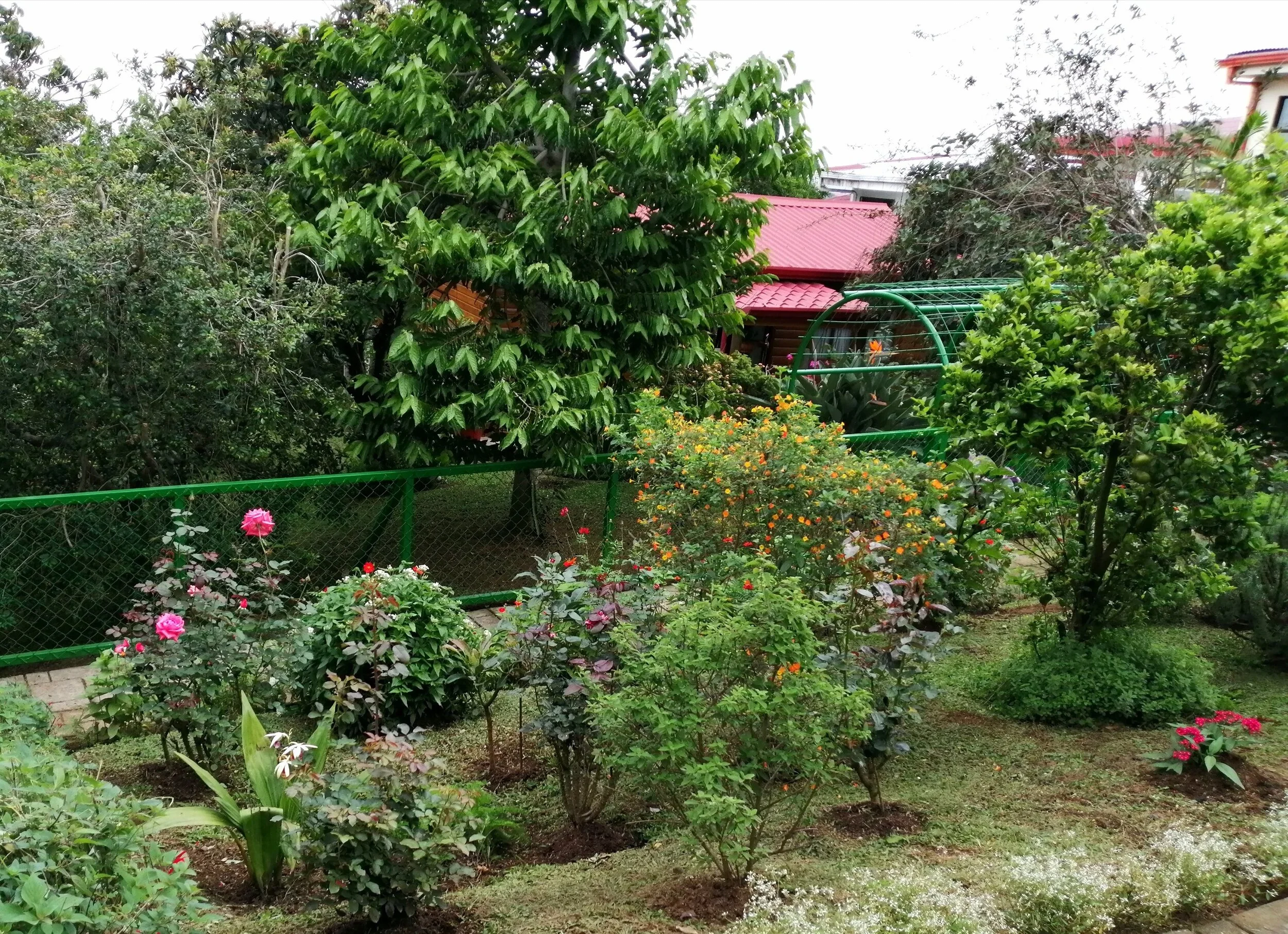 feria de colegios costa rica