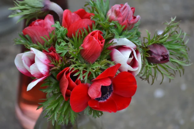 Spring flowers - red anemones.jpg