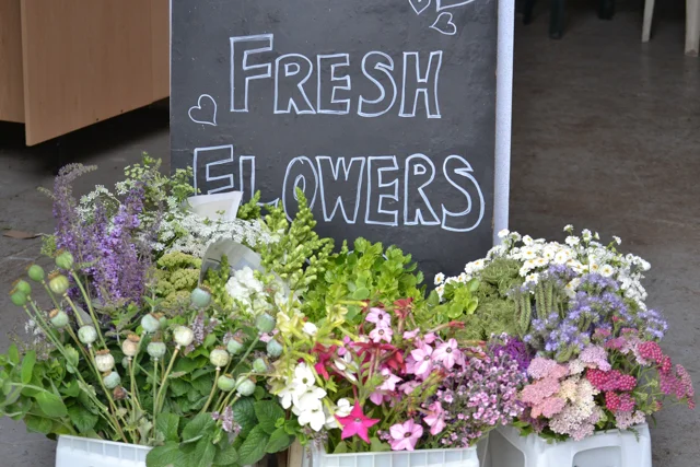 Poppy/ Scabious seed heads, mint, Nicotiana, Cynoglossum, Achillea, Phacelia, Feverfew, Molucella, Daucus seed heads, Ammi, Sedum, Buddleya, Antirrhinum