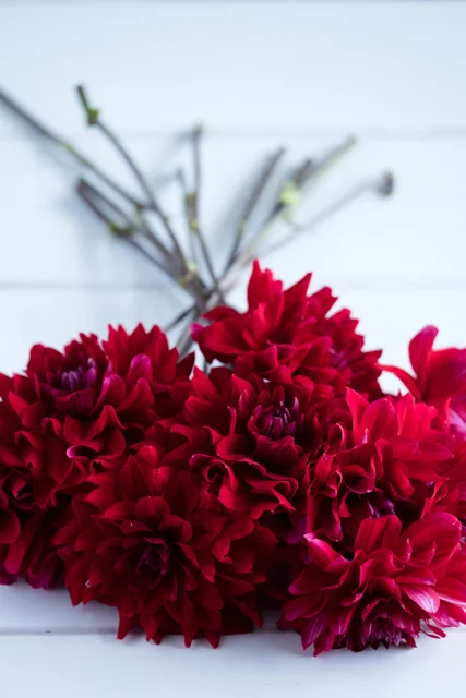 Bunch of flowers.jpg