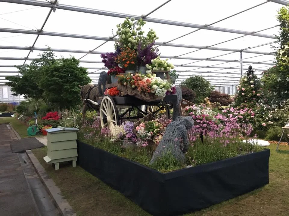 Flowers from the farm in the pavilion.jpg