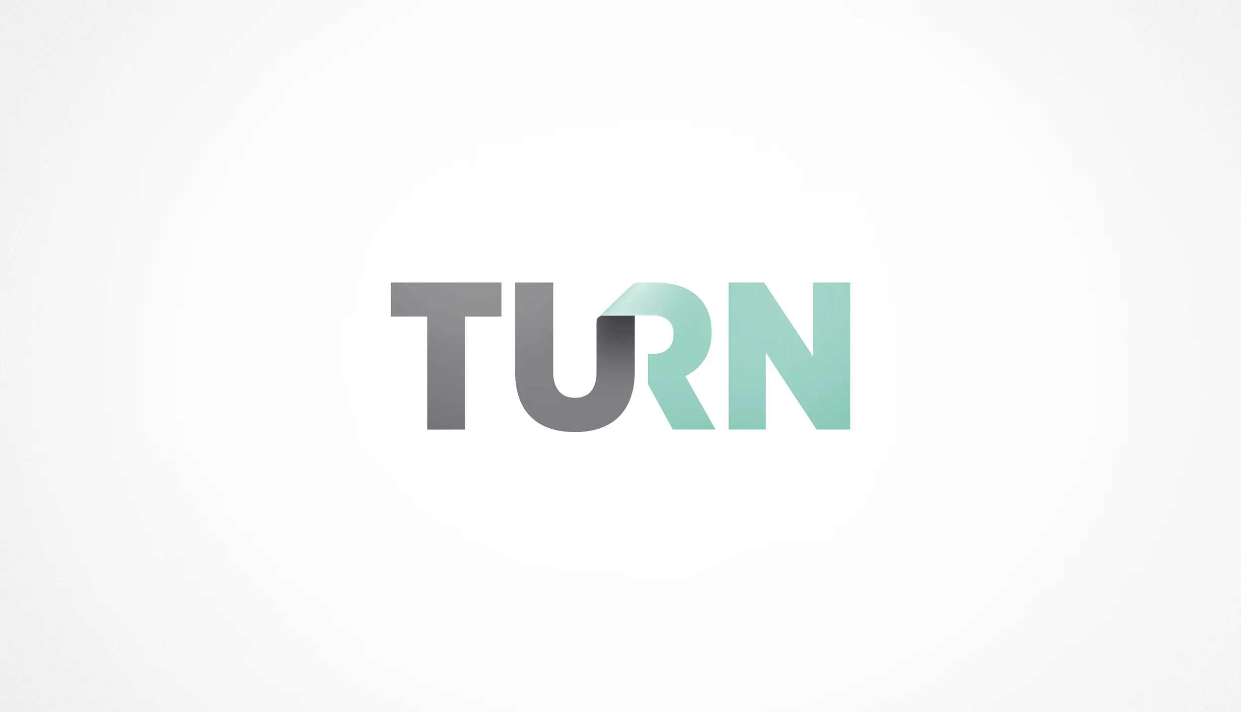 BrianSteinseifer_TURN_Logo_1.jpg