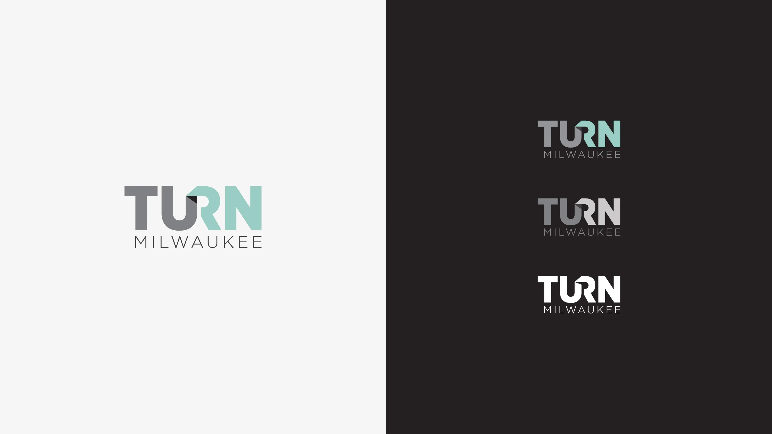 BrianSteinseifer_TURN_Logo_2.jpg