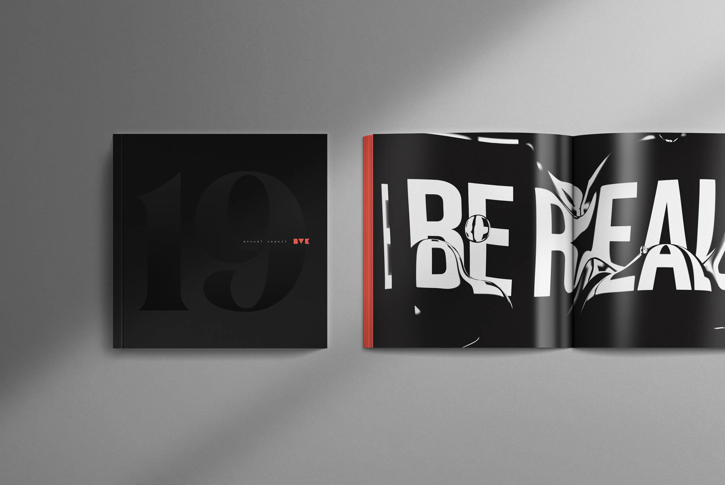 Brian-Steinseifer---BVK-Rebrand---Annual-Report.jpg