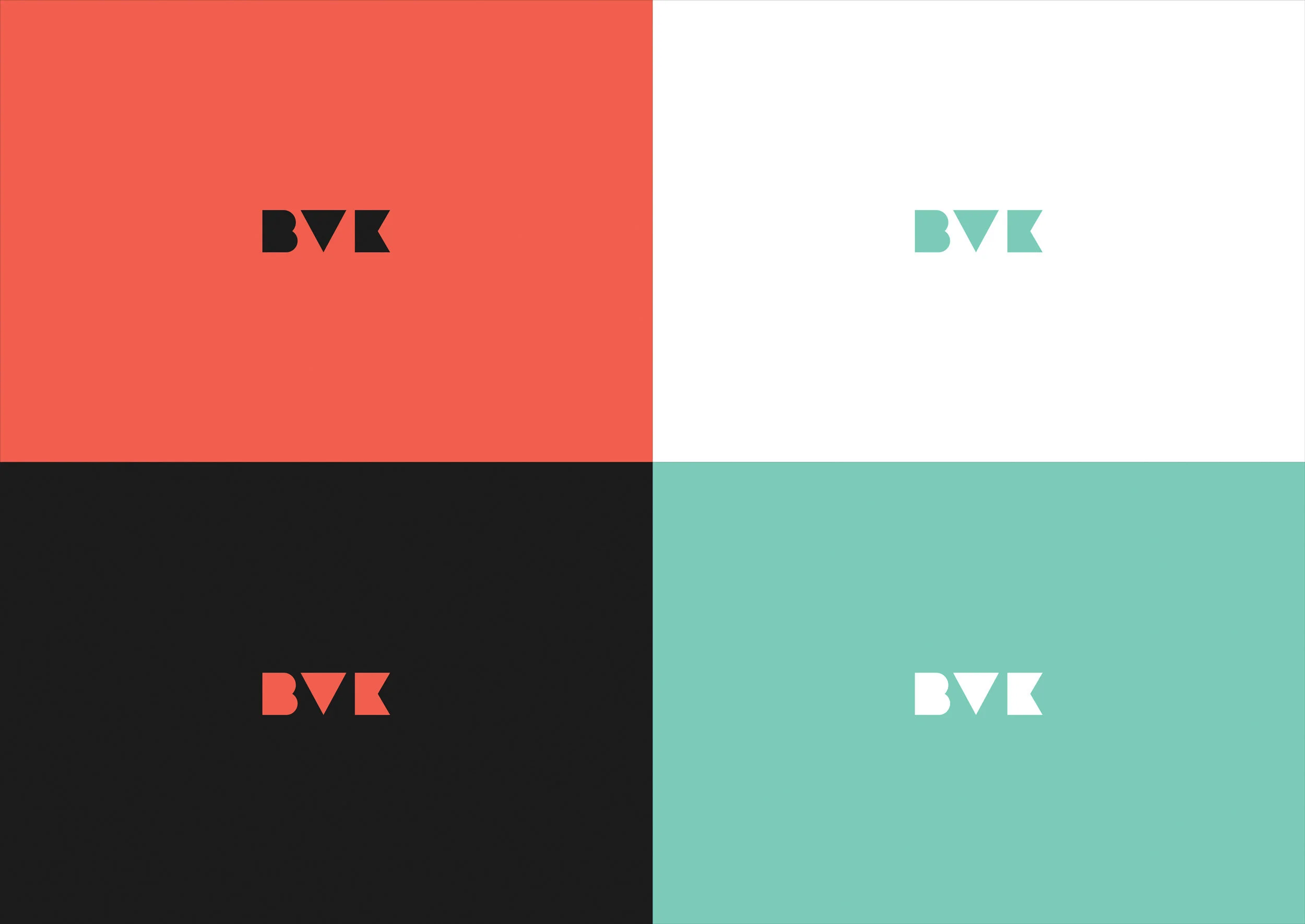 Brian-Steinseifer---BVK-Rebrand---Colors.jpg