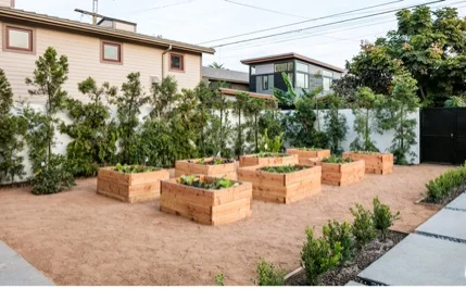 organic garden2.jpg