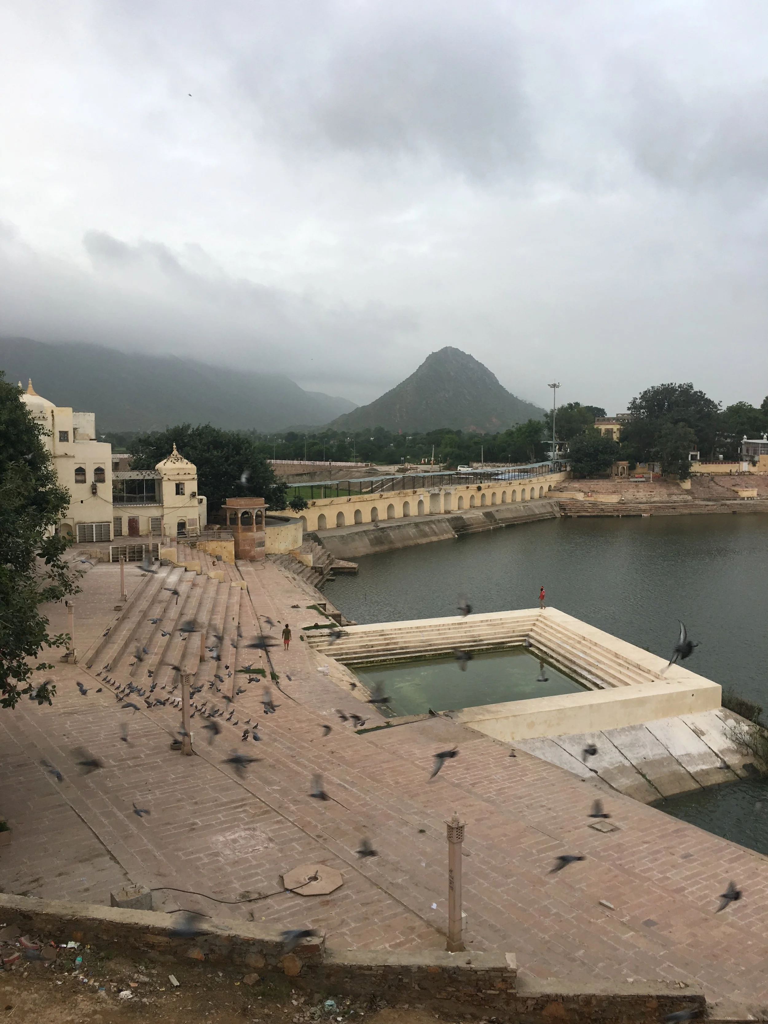 The Story of an Ethical  Fabric