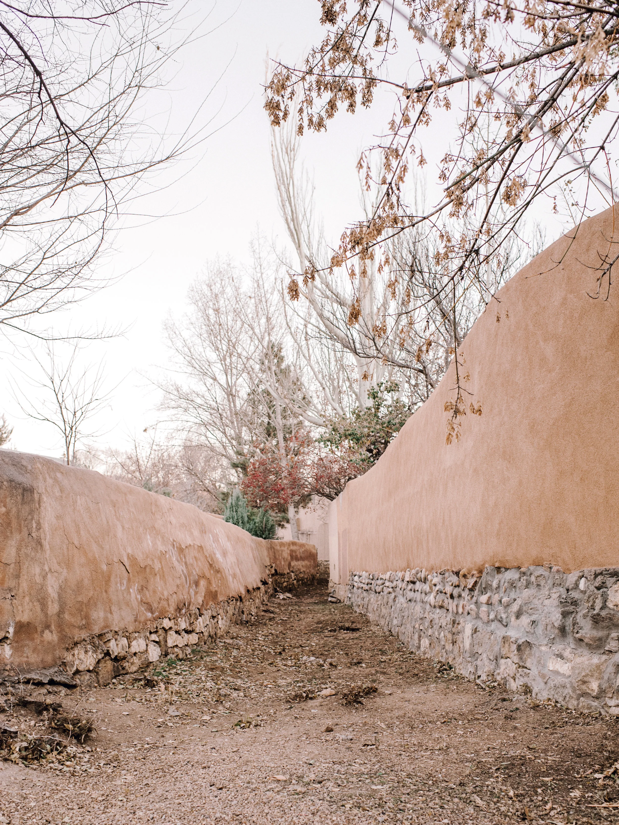 radostinaboseva_new_mexico-26.jpg