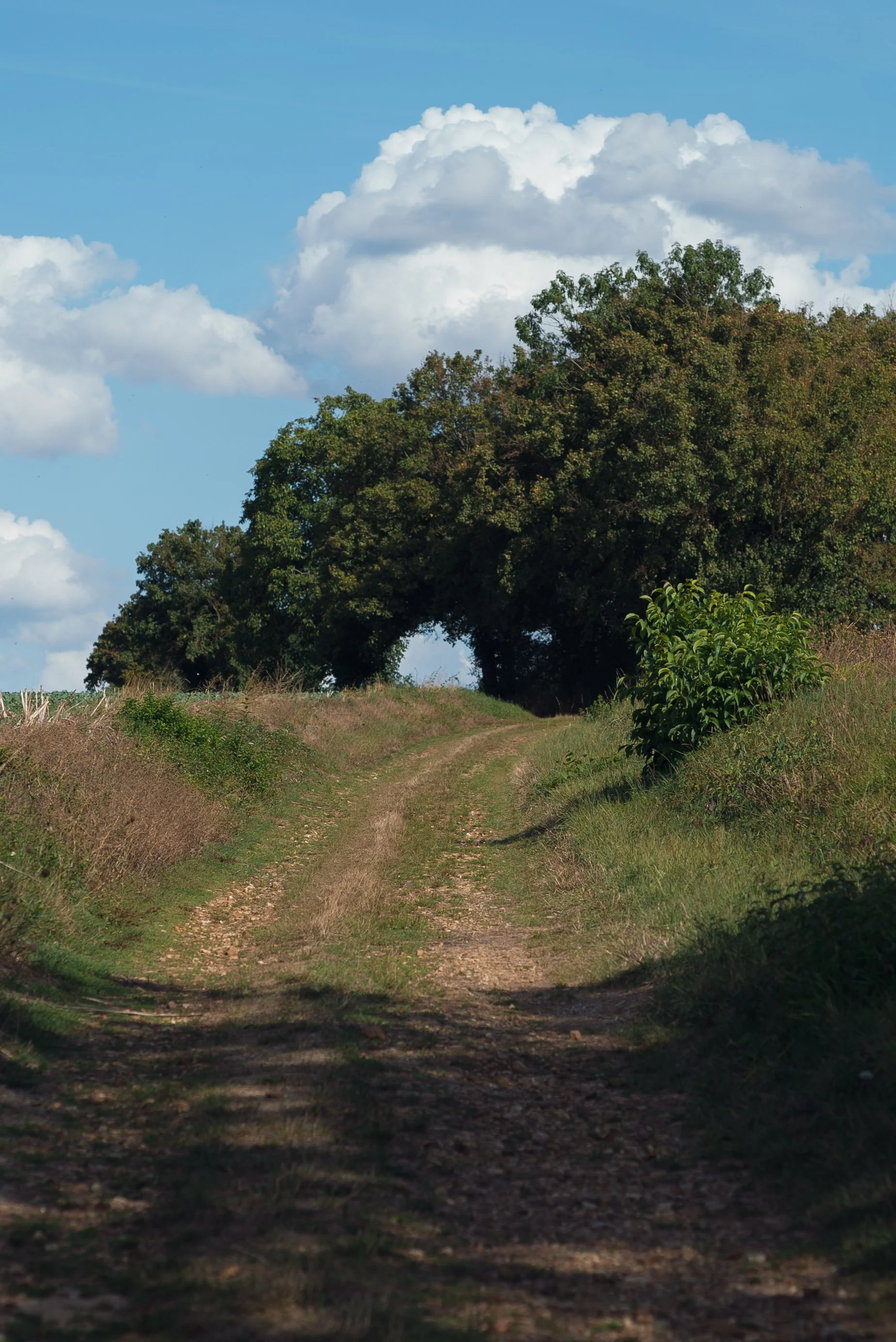 LaBouleDor_Edit-154.jpg