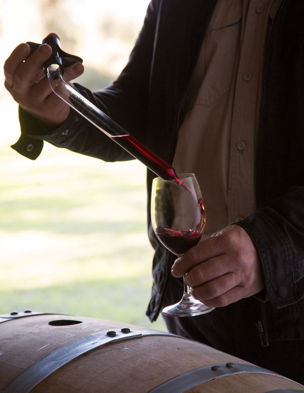 Thiefing the Barrel Photograph by Sonoma Bottle