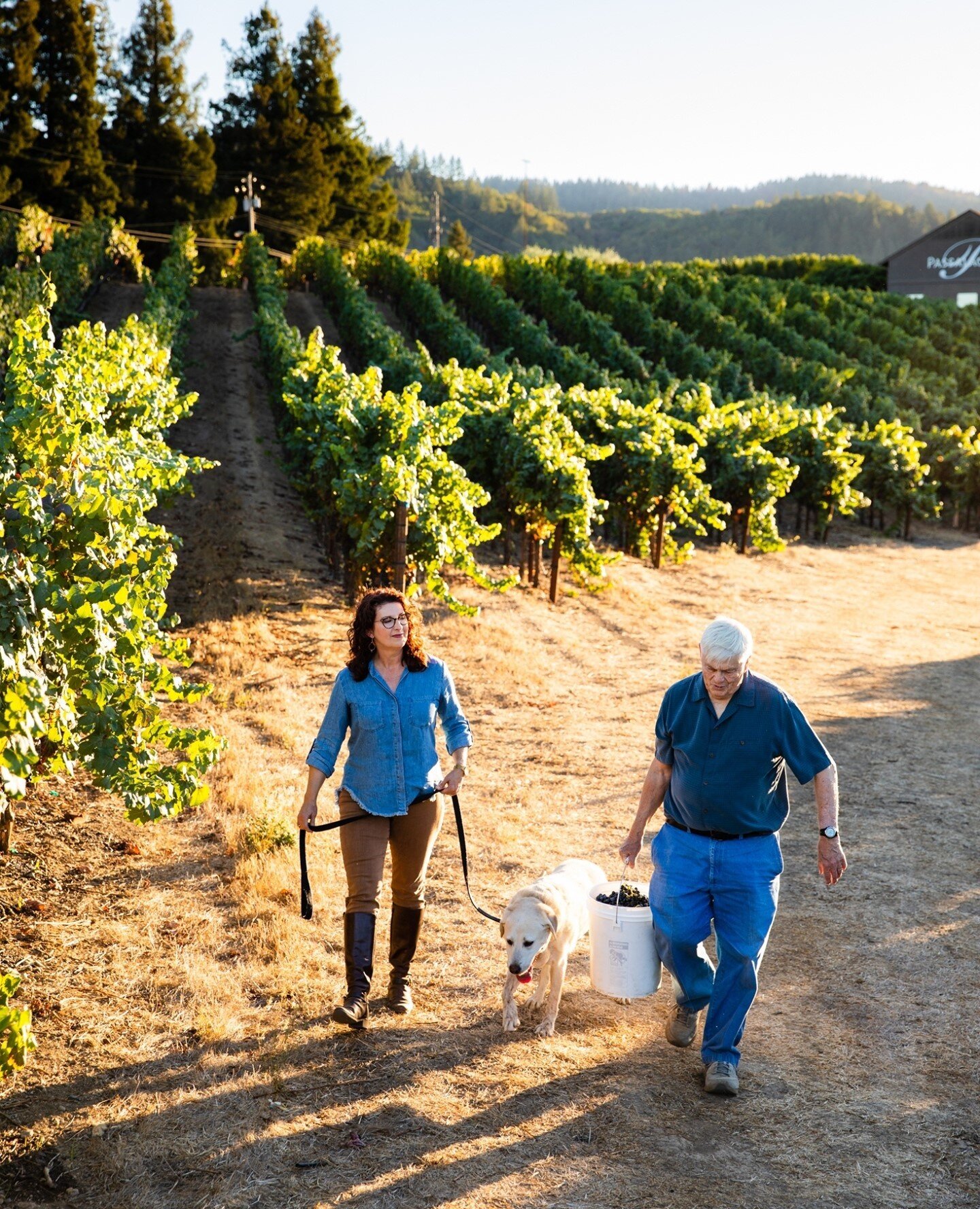 Some recent work for sonomacountywinegrowers.  This shot is my favorite outtake from this particular ad shoot.  The direction on this project is to curate and recreate authentic moments with multigenerational wine families in @sonomacounty.  @drycree