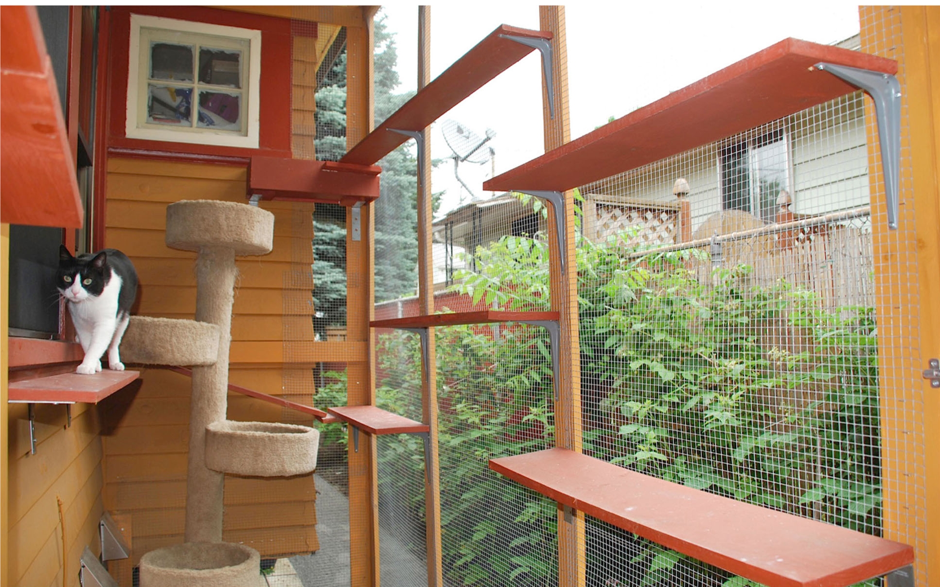 Балкон для кошек купить. Вольер антикошка. Балкон для кошек. Домик для кошки на балконе. Вольер для кошек на балконе.