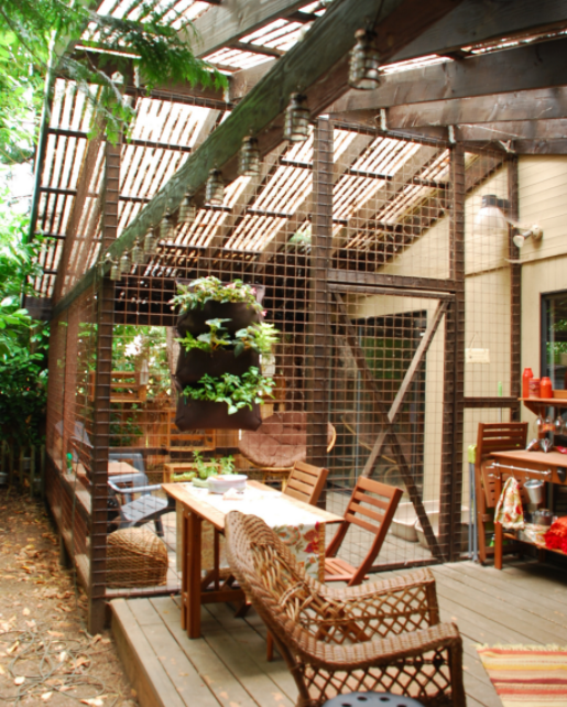 indoor catio