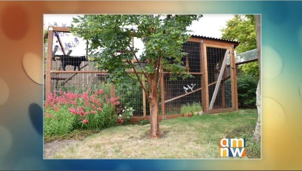 Watch an interview with Karen Kraus (FCCO) and Bob Sallinger (Portland Audubon) on KATU’s AM Northwest