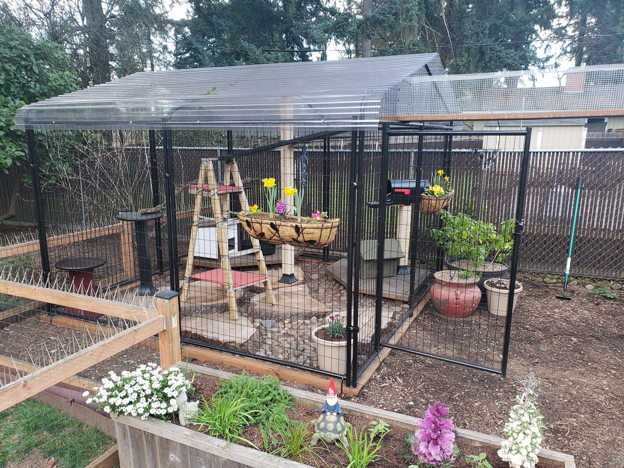 Catio 1: Reclaimed Refuge