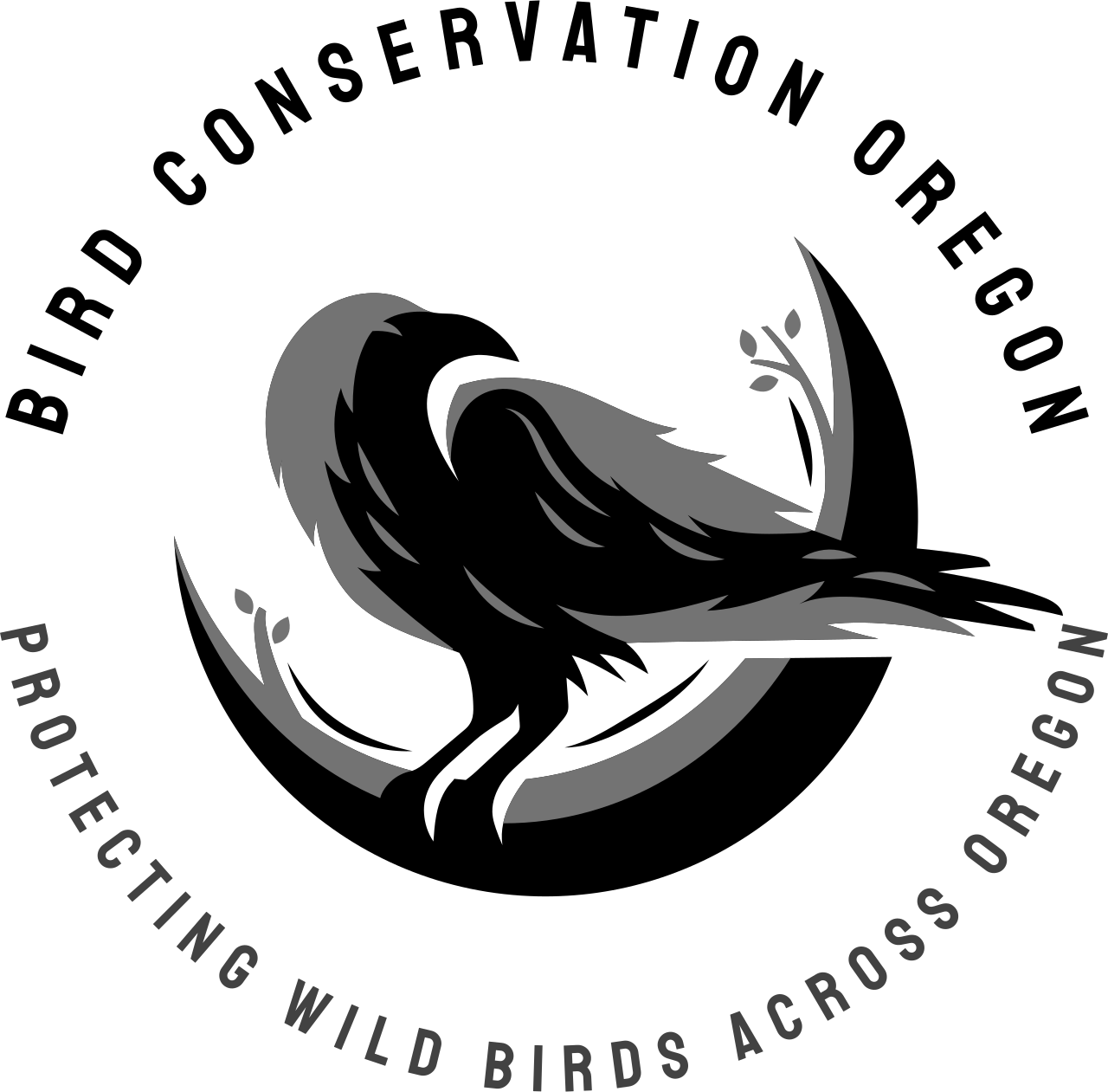 BCO-logo.jpg