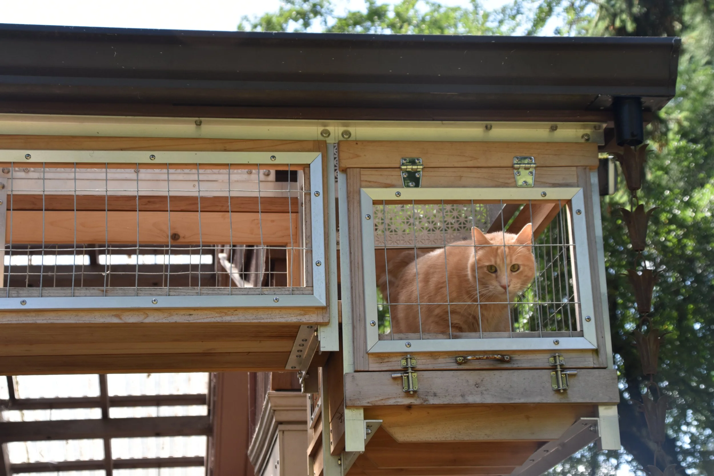 Copy of DSC_0267.JPG