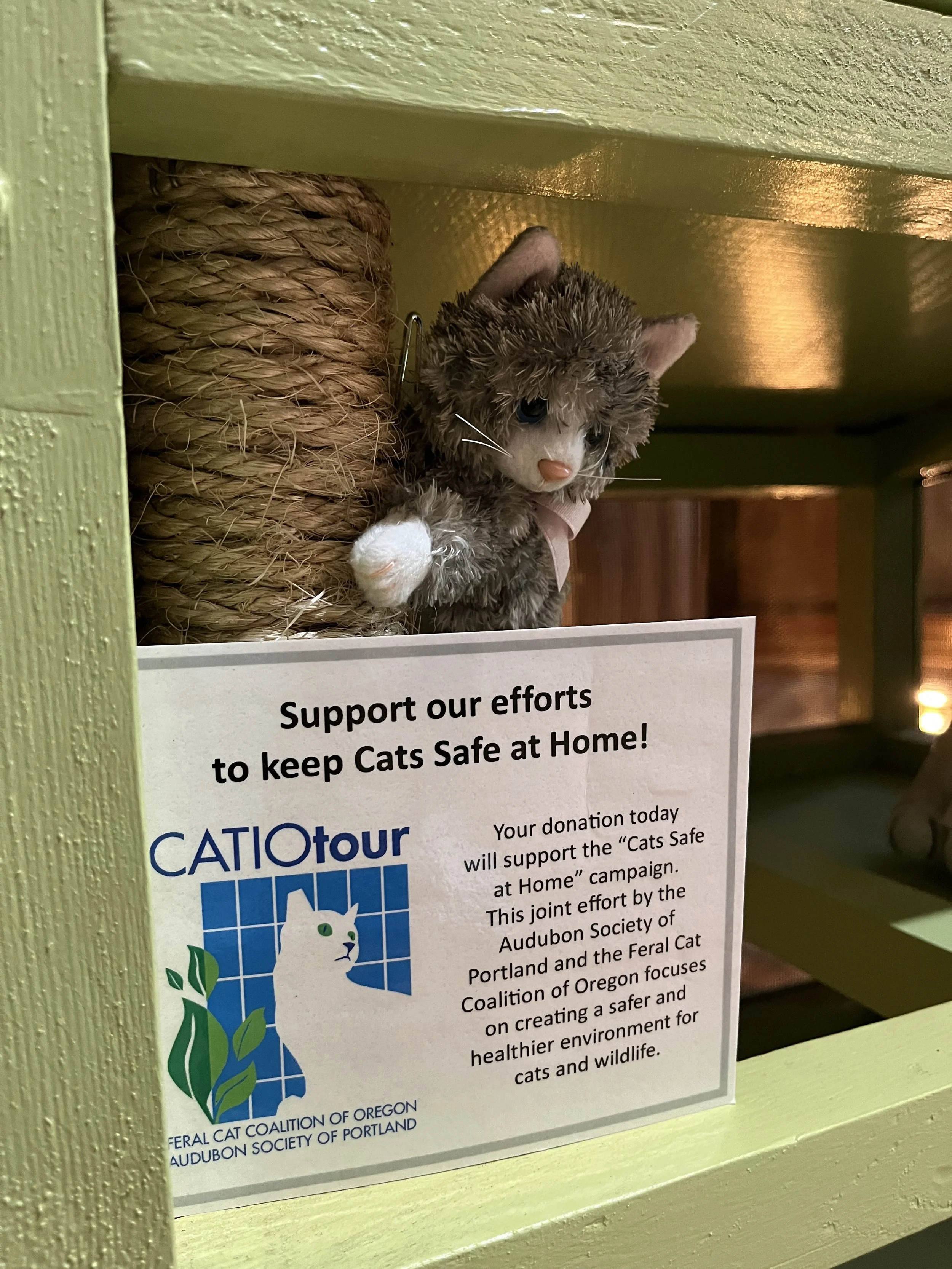 2023catio-tour-eventday-17.JPG